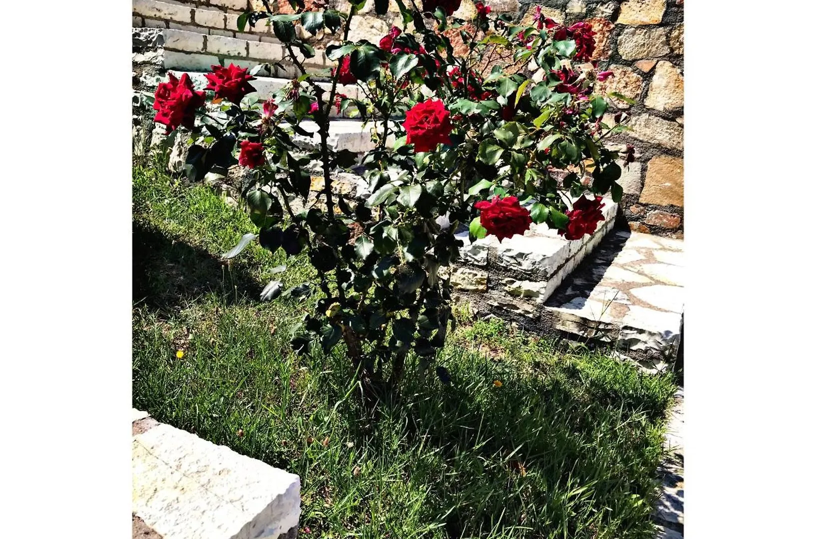 Apartmán Belvedere Hotel & Suites Himarë Albánie